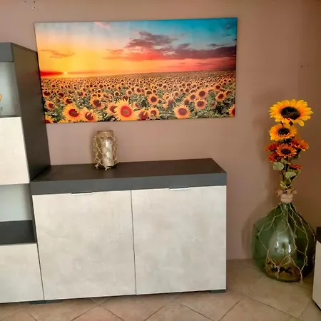 Civiconovantuno * Pula